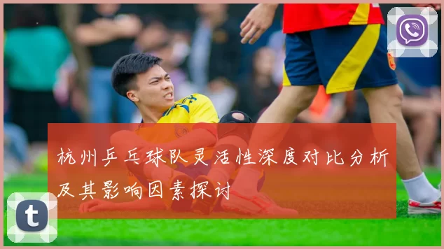 杭州乒乓球队灵活性深度对比分析及其影响因素探讨
