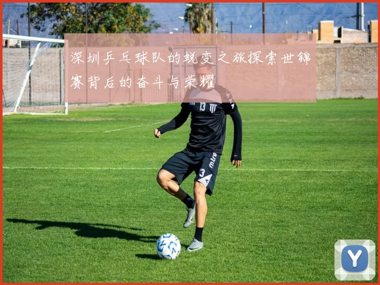 深圳乒乓球队的蜕变之旅探索世锦赛背后的奋斗与荣耀