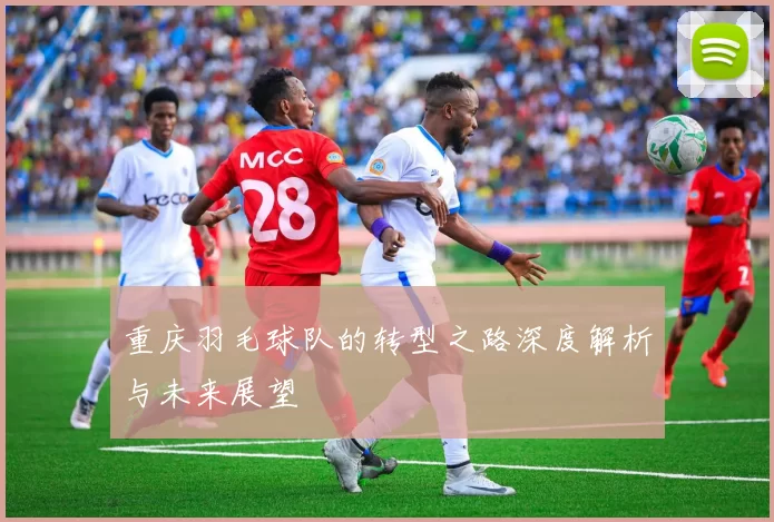 重庆羽毛球队的转型之路深度解析与未来展望
