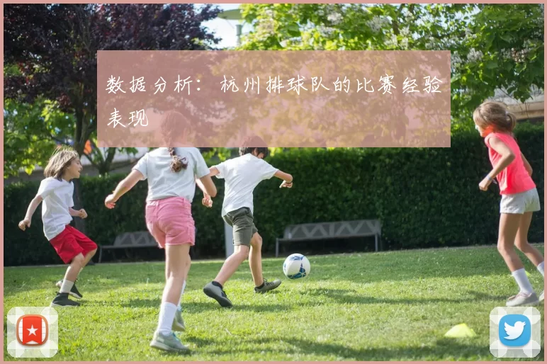数据分析：杭州排球队的比赛经验表现