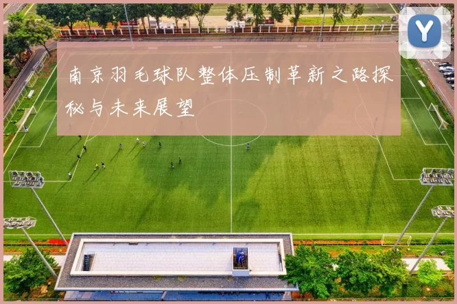 南京羽毛球队整体压制革新之路探秘与未来展望