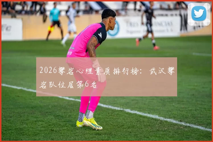 2026攀岩心理素质排行榜：武汉攀岩队位居第6名