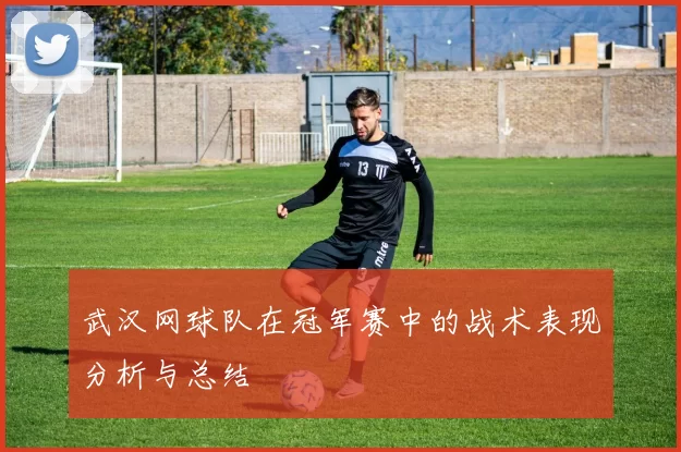 武汉网球队在冠军赛中的战术表现分析与总结