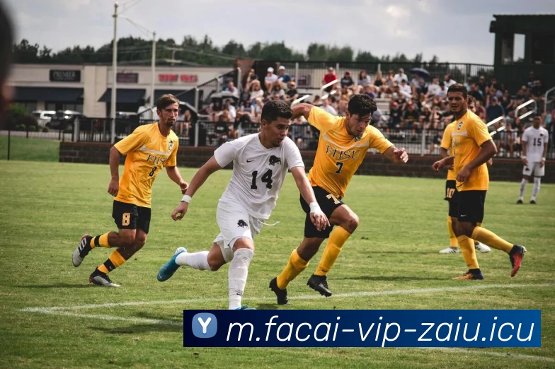 星空体育品牌故事