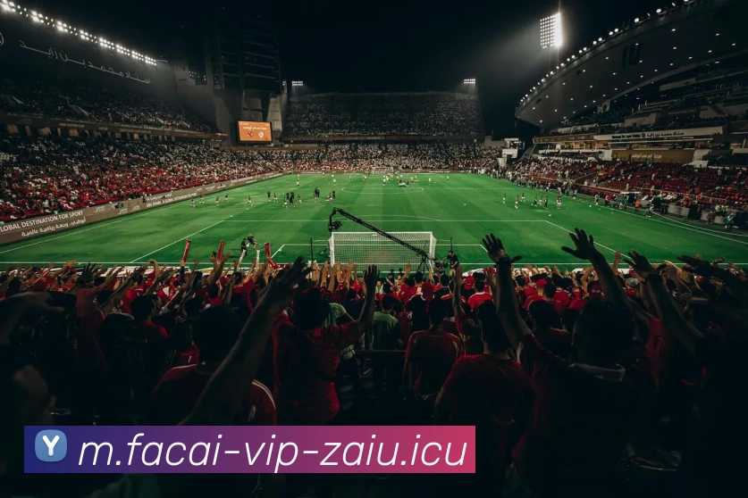 星空体育服务体系